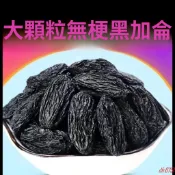 🌸🌸精選好品新貨正宗新疆特產超大黑加侖葡萄乾純天然特級免洗新鮮果乾零食批發