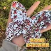 新款優選🎁四季春夏秋冬拍照神器化妝鏡亞克力蝴蝶鏡便攜神器意境擺拍ins風
