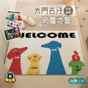 【各種風格🐻好看實用】玄關地墊 絲圈地墊 刮泥地墊 門口地墊 腳踏墊 大門地墊 防滑地墊 造型地墊 進門地墊 貓砂墊
