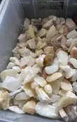 義大利玉石5分園藝用水族石頭 盆栽小石頭1包20kg