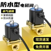 艾特斯良品 {限時優惠}室外防水電磁閥4分6分1寸銅常閉電磁水閥220V控制閥不銹鋼24V氣閥