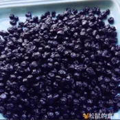 【松鼠的倉庫】美國 Graceland 野生小藍莓乾 藍莓果乾 栽種大顆藍莓乾 烘焙果乾 蜜餞零食 水果乾