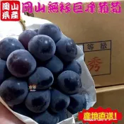 【緁迪水果JDFruit】空運進口日本岡山貓眼葡萄600g/禮盒裝｜送禮推薦｜中秋送禮
