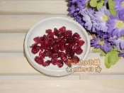 ♀軒Baby小舖♂㊣　北美天然小紅莓/蔓越莓乾/蔓越莓果乾　1公克1元/50公克50元　蜜袋鼯/兔子/倉鼠/老鼠/刺蝟