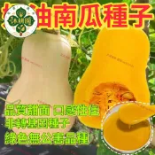 奶油南瓜種子 栗子南瓜 西洋南瓜 日本南瓜 家庭菜園 瓜果種子 庭院栽種 陽台盆栽 爬藤植物 自種蔬菜 有機栽培