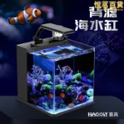 川澤百貨 迷你創意背濾桌面辦公室家用分海水缸全套設備玻璃珊瑚缸魚缸玻