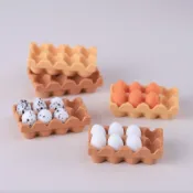☆荳荳龍~DIY手作☆ 仿真迷你雞蛋 蛋盒 食玩配件 微縮擺件 娃娃屋 袖珍