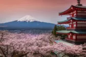 【Lion Travel 雄獅旅遊】第2人折2000｜春櫻東京｜嚴選一晚東京飯店.賞櫻名所～小石川後樂園.小田原城.新倉山公園.山中湖遊船.晴空塔.敘敘苑燒肉五日｜二晚溫泉｜高雄來回 出發地點：高雄