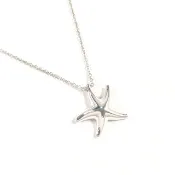 【日本直寄 美品二手】蒂芙尼 TIFFANY&Co. 項鍊 海星造型 艾爾莎柏奈蒂 銀 925 重新拋光