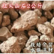紅火山石 2公斤 紅火山岩 多肉介質 石頭 排水 水族過濾 【榮進園藝資材】