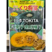 【現貨。不用再問】F1品種 日本 TOKITA 栗子南瓜種子 (1粒10元) 夾鏈袋裝 板栗南瓜 將軍南瓜 栗南瓜