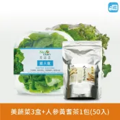 NICE GREEn  美蔬菜養生組 ( 美蔬菜3入  人參黃耆茶1包 生菜 溫沙拉 萵苣 蔬果汁 水耕蔬菜)