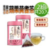 蔘大王 美魔女露思蘋果黃耆茶包X2組（8gX10入/組）養顏美容 元氣充沛 增強體力
