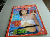 時報周刊856期@盧淑芳鞏俐王曉蕾天心胡佩璉陽淑華齊秦侯志堅胡瓜張曼玉童安格周華健@83年版@群星書坊