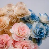現貨✔ 獨家款 索拉花【波斯菊6cm 渲染色】 ♥擴香花乾燥花永生花乾燥花禮求婚情人節禮物畢業花束