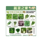 (店+)【蔬菜之家】香辛類種子系列各包裝數量詳見內文及圖片說明九層塔 芹菜 芫荽 香菜 山芹菜 紫蘇 根芹菜 西洋芹