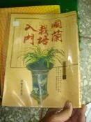 國蘭栽培入門 張豐榮編【2S七成新】