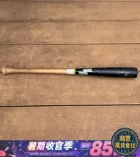 【鼎豐】SSK棒球少年軟式球棒（Junior款）— 少 日本