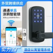 臻選時刻 【塗鴉智能防盜】智能門鎖 指紋鎖 密碼鎖 電子鎖 公寓門鎖 出租房門鎖 民宿門鎖 APP遠程解鎖 單舌設計 防盜安全 免鑰匙開門