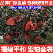 柚子專用套袋早熟三紅果袋紅柚紙袋沙田柚蜜柚葡萄柚水果防鳥防蟲