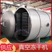 食品果蔬平方凍干機 凍干真空冷凍干燥機 蔬菜全自動低溫商用大型(不含運）