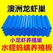 ✨桃園有貨/免運✨澳洲淡水龍蝦巢蟹屋小龍蝦躲避窩螞蝗水蛭闆蜂巢螃蟹養殖巢人工