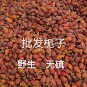 【本草專供】梔子正宗山梔子茶紅梔子中材梔子食用上色素滷料 泡茶批發梔子