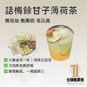 台灣現貨 話梅餘甘子薄荷茶 油柑果茶 話梅油柑薄荷茶 油甘茶 薄荷茶 清甜滋潤 清爽 泡水喝 養生茶 水果茶 台瑞格美食