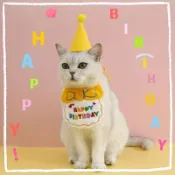 寵物生日配件🎂 寵物生日帽 狗狗生日 貓咪生日 狗生日帽 生日領巾寵物狗狗貓咪帽子領巾圍兜狗聚派對生日快樂 WQCX