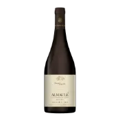 【橡木桶洋酒】智利寶龍歐莫內 Pais 紅葡萄酒2022 0.75L