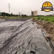 【可開統編】ll加厚魚塘防滲膜魚池護坡防水布養殖土工膜黑色塑料布農田地膜專