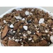 (店+)【欣榮園藝資材行】全館599免運 觀音蓮/天南星科/龜背芋專用介質(頂級) 1公升 觀葉通用介質
