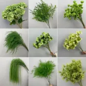 台灣出貨+免運　鳳尾葉子尤加利金錢草佈置 婚慶花藝佈置 模擬花 綠植 綠色花材 塑膠婚禮道具 網美婚慶攝影 居家裝飾