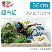 小郭水族-UP小螃蟹系列【超白魚缸 36cm（36X22X26cm）1.2尺缸 】高透明度 魚缸 玻璃缸 超白缸