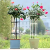 知木屋 熱銷/免運 園藝組裝植物支架玫瑰爬藤架單圈傘形戶外月季鐵線蓮薔薇