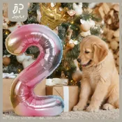 🐱99就免運👶 數字氣球 生日派對佈置 寵物生日氣球 鋁箔數字氣球 寵物慶生裝飾 生日拍照道具 慶生佈置 派對背景裝飾