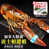 海肉管家 第二件送好禮活凍波士頓龍蝦(2尾_400-500g/尾)