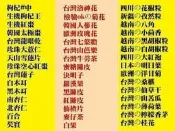HC【立體茶包總項】✔補氣茶▪養氣茶▪沖泡四物▪冷泡茶▪退火茶▪健美茶