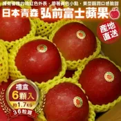 【天天果園】日本青森弘前富士蘋果36粒頭-6入禮盒(約1.7kg)