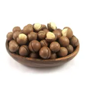 (店+)元氣家 烘焙帶殼夏威夷豆 200g