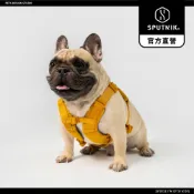 SPUTNIK｜EXPLORE 胸背帶 - 黃色・台灣製造 不傷氣管 (貓狗適用 寵物外出用品 寵物胸背帶)