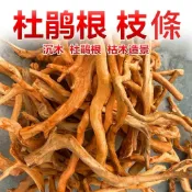 🎋【 杜鵑根枝條 】🪸 沉木枝條 樹枝  默絲樹/流木/爬木 魚缸造景 水草造景  爬蟲🎍 魚缸裝飾杜鵑沉木