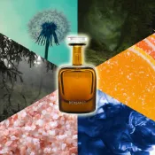 苔  鹽  金  墨水  雨木  雨雲  果醬  蒲公英  常春藤  Perfumer H