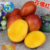 預購-風之果 枋山寶島級香甜40年老欉愛文芒果禮盒5台斤(9顆)