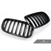 《美國 AUTOTECKNIC》BMW E70 X5 X5M E71 X6 X6M 正碳纖水箱罩(另有霧黑/亮黑)