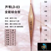 【超靈敏】蘆葦浮漂 純手工帶殼 輕口滑口綜合浮標 醒目魚漂 高靈敏 磯釣浮標 自重浮標 標
