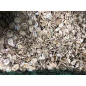 福壽牌 飼料麥片2台斤/1.2公斤