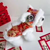 寵物衣服 舞龍舞獅 醒獅 傳統弄獅 立體造型裝 喜氣獅王 寵物泰迪過年衣服 新年貓咪狗狗唐裝虎頭醒獅服 冬款拜年服春節 
