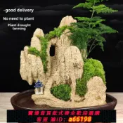 什物集 【台灣公司 可開發票】采購產品養貨，假山盆景，吸水景觀，奇石，天然植物，水開花，水石，原創室內小擺件