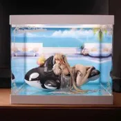 【移不動】APEX-TOYS碧藍航線安克雷奇海豚、海洋、游泳課盏是盒